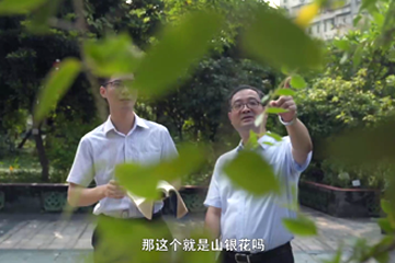 东方医学 08 现代中药的产业化