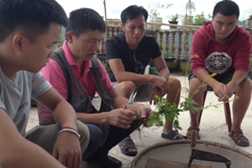 东方医学 10 苗医的继承