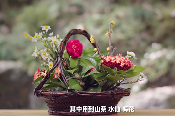 宋韵之城 02 供花祈福 再现宋时插花盛景