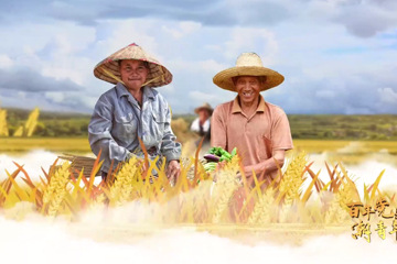 百年党史“潮”青年 57 取消农业税